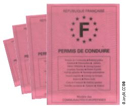 Fiche Pratique : Comment fonctionne le permis à points ?